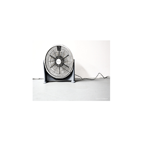 fan ( black)